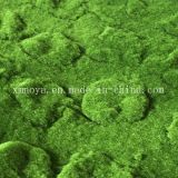 Customized Plastic Green Grass, Fake Carpet/Mat, Artificial Plants, Artificial Moss