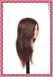 Human Hair Manequin Head 26inches for Hair Style Training