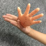 Different Size Acupuncture Hand Model for Studying