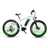 Man Style 48V 1000W Adult Fat Electric Mountain Bike for Sale