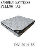 OEM Compressed Sleepwell Mattress 10inch with Pocket Spring
