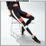 OEM Factory Women Sports Leggings Fitness Wear