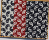 New Design Paisley Cotton Printed Fabric Tie
