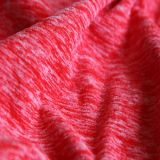 Loop Gagt Knit Fabric with Antipilling