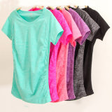 Factory Hot Sell Lady's Seamless Sport T-Shirt