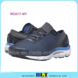 Colour Sneaker Sport Shoes for Fashion