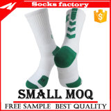 Cotton Microfiber Nylon Sports Socks with Arch Support