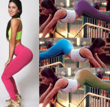 New Sexy Women's Candy Colors Fitness Gym Clothes Leggings (14242)