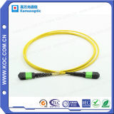 Competive Price MPO/MTP Fiber Optical Patch Cord for Data Center