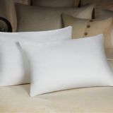 100 Polyester Fiber Pillow (WWW-0012)