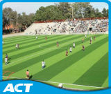 Fifa Approved Football Field Synthetic Grass Carpet Mds60