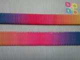 Nylon Webbing Rainbow Belt Straps Polyester Tape for Bag/Clothing/Garment Accessories