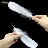 Wholesale  Feather  Suppliers of Cheap  Duck  Feather  Washed Whiteduck  Feather