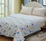 New Design Fashion High Quality Summer Quilt (T145)