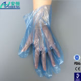 Poly Bag Packing Disposable Trasparent PE Gloves with Low Price