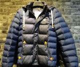 2016 Contrast Hoody Padding Warm Winter Coat Jackets