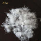 Cheap Washed Grey Duck  Feather  2~4cm  Feather  Filling Material for Sofa Pillow Cushion Bedding Garment
