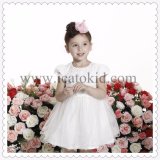 Spring Autumn Party Girl Dress for 10 Years Old