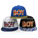 Special 3D Embroidery Snapback Hat