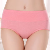 Sexy Women Underpants Casual Underwear