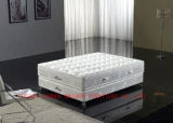 Spring / Healthy Mattress / Soft Bed (MA08)