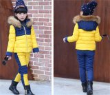 2015 Children's Winter Coat Suit/ Girls New Two Piece Cotton Suit /Girls' Fashion Various Colors Hoody Outwear Kd7112
