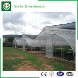 Agriculture/Commercial Plastic Film Tent with Cooling System