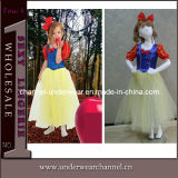 Fashion Deluxe Snow Princess Dress Costume 4001 (TLQZ4001)