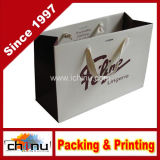 Paper Shopping Bags with Handle (2129)