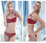 New Design Hot Lady Underwear Sexy Lace Bra Set (FPY338)