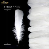 2-4 Cm Washed White  Duck  Feather  Use for  Feather  Skirt /Fan/Lace Like Ostrich  Feather