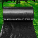 China Factory Direct Sale of PP Black Ground Cover Fabric