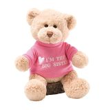 Plush Teddy Bear with T Shirt
