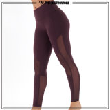 Hot Selling Trendy Compression Pants Workout Clothing Fitness Leggings for Lady