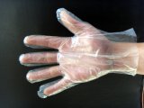 Food Grade PE Disposable Gloves Ce Powdered & Powder Free