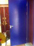 Blue Color Wooden Door