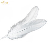 Goose Feather & Down Filling Material