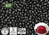 Black Soybean Hull Extract Anthocyanins 5%-25% HPLC