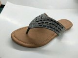 New Styles for Women/Lady Outdoor Women Sandals, Women/Lady Slippers, Women Shoes