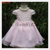 Elegant Embroidery Princess Party Wears for Girls Dress