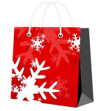Newest Cute Style Christmas Gift Paper Bag for Shopping and Grocery Custom Design Accept