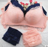 Comfortable Seamless Full Lace Underwear Bra Set (EPB265)