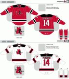 Customized American Hockey League Lowell Devils Lowell Devils Hockey Jersey