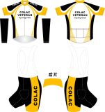Good Design Cycling Wear Long Sleeves Cycling Jersey with Good Price