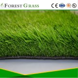 Commercial Artificial Sports Lawn Carpet for Soccer (SEL)