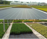 Weifang Manufacturer Eco-Friendly Weed Control Fabric