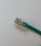 RJ45 Networking LAN Cable AMP CAT6 UTP Patch Cord