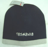 Normal Design Embroidery Acrylic Winter Knitted Hat