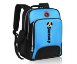 Premium School Bag/School Backpack Bag/Spring School Bag/Autumn School Bag (SGS/BSCI/RoHS/ISO9001)