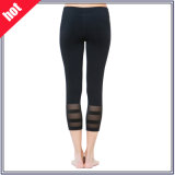 Custom Spandex Quick Dry Women Sports Leggings Yoga Gym Clothing